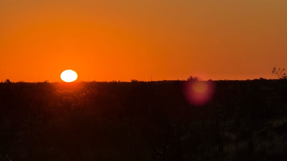 自分で檻の中に入ってる