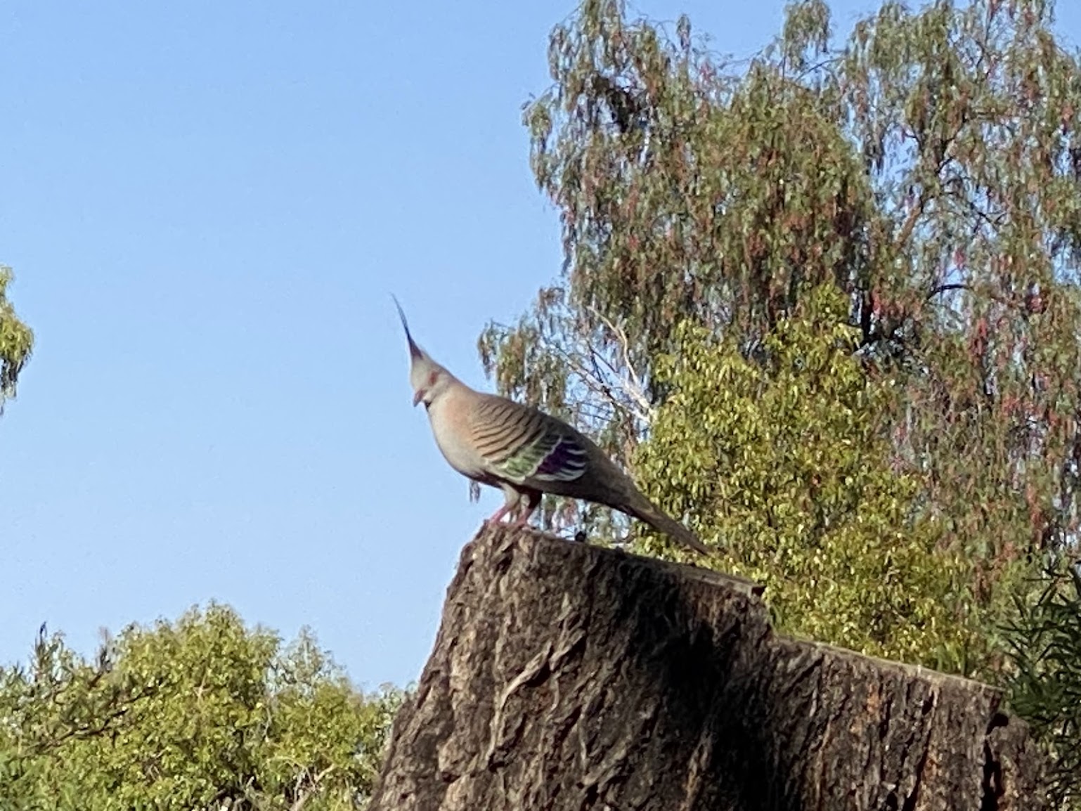 「望まない現実」を自分で望んで作っている件