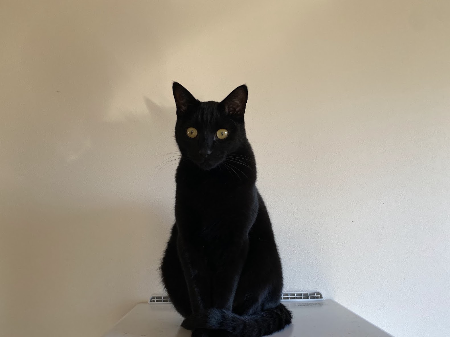 大事なものは常に見えない